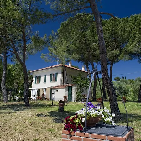 Tancredi Foiano Della Chiana